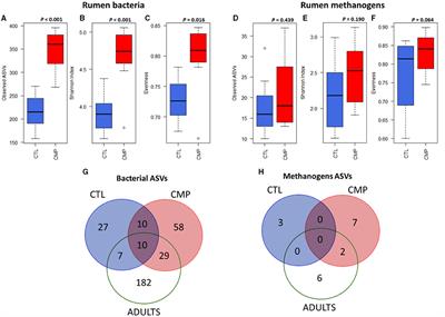 Presence of Adult Companion Goats Favors the Rumen Microbial and Functional Development in Artificially Reared Kids